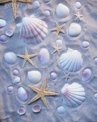 si un grain de sable voulais dire....